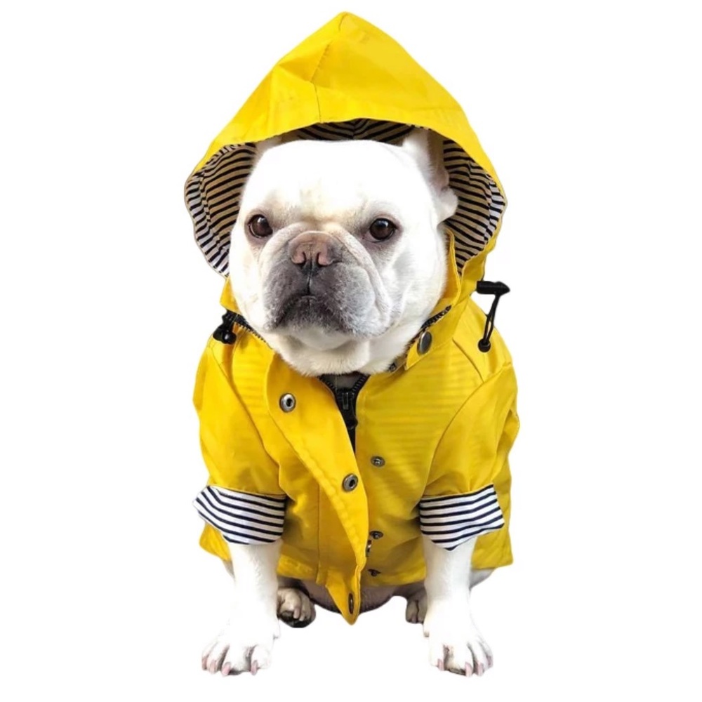 Puppy Dog Raincoat Water Resistant various sizes